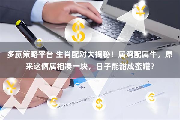 多赢策略平台 生肖配对大揭秘！属鸡配属牛，原来这俩属相凑一块，日子能甜成蜜罐？