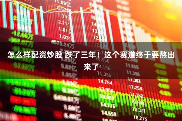 怎么样配资炒股 跌了三年！这个赛道终于要熬出来了